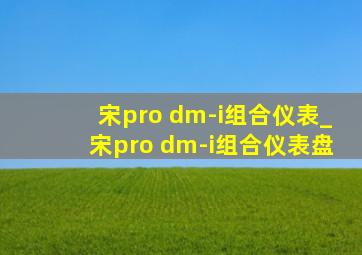宋pro dm-i组合仪表_宋pro dm-i组合仪表盘